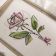 rose sketch embroidered design